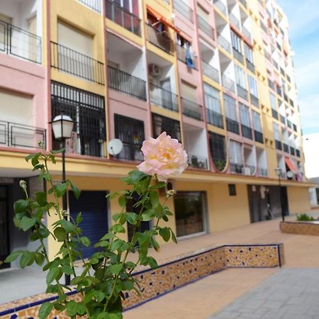Econom Studio La Loma Διαμέρισμα Τορεβιέχα Εξωτερικό φωτογραφία